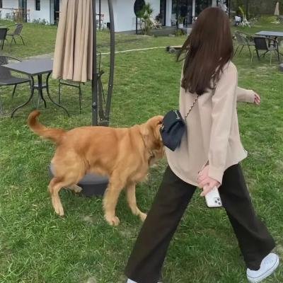 变身特务